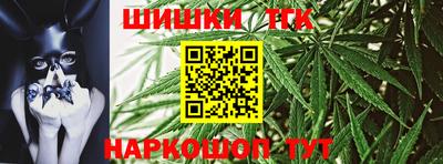 МДПВ Боровичи